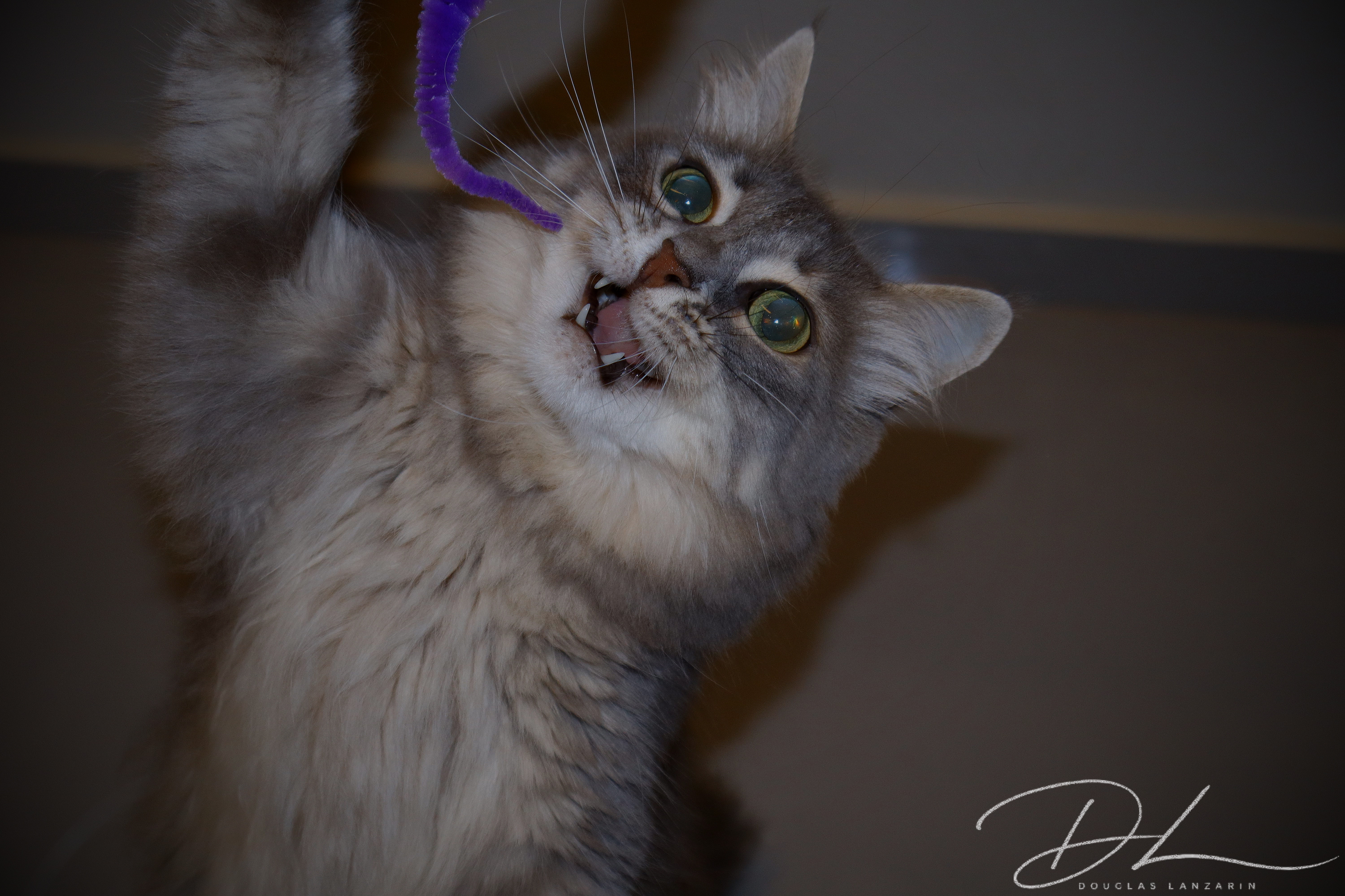 Com seu brinquedo favorito